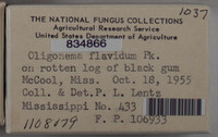 Image Associated With the Occurence